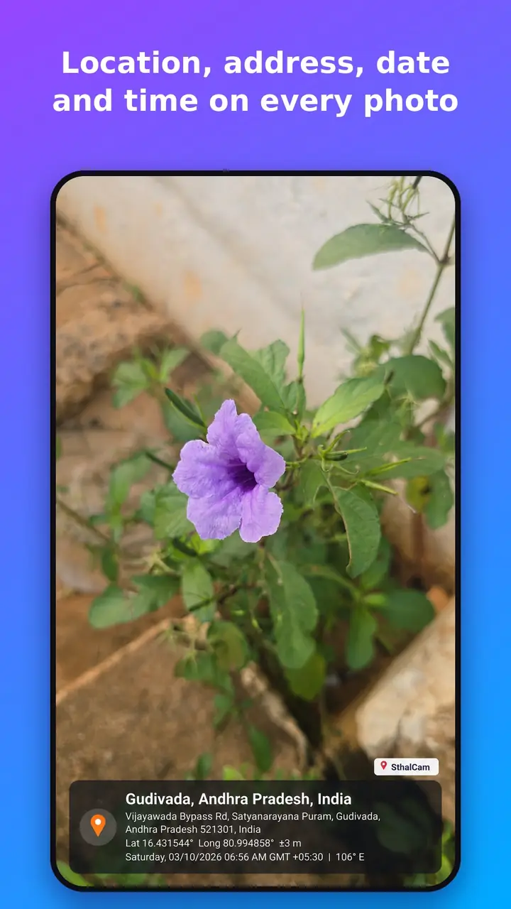 SthalCam photo of a flower with a stamp showing the address, coordinates, date, time and compass direction