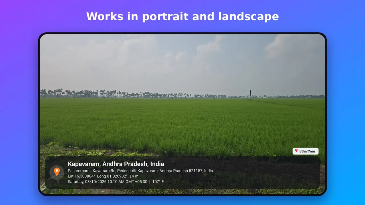 A landscape photo of a paddy field with the SthalCam stamp across the bottom